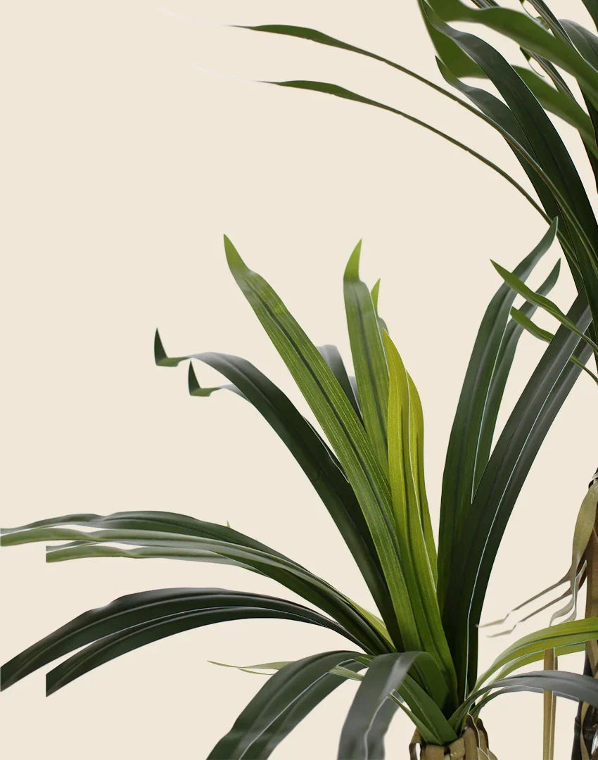 Planta Yucca artificial 150cm