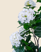 Planta hortensia artificial 150 cm