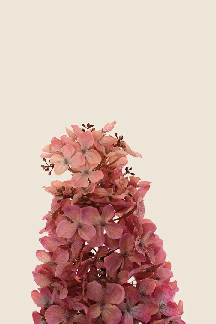 Vara Hortensia Semilla Alarg. Artificial