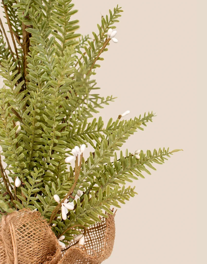 Macetita Saco Pino Semilla artificial 65cm