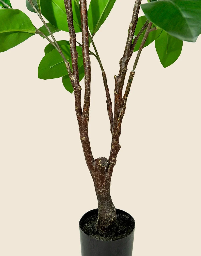 Planta magnolia artificial 150 cm