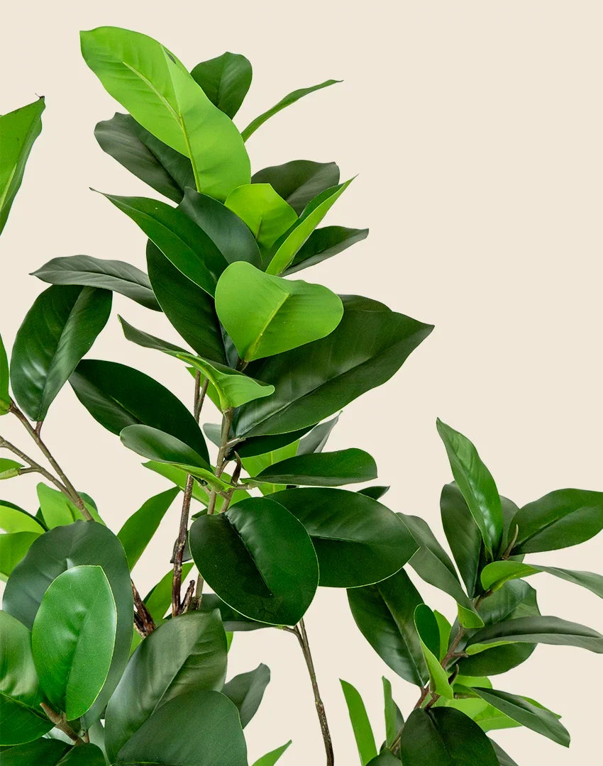 Planta magnolia artificial 150 cm
