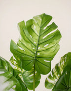 Planta Monsteria - Costilla de Adán artificial 110cm