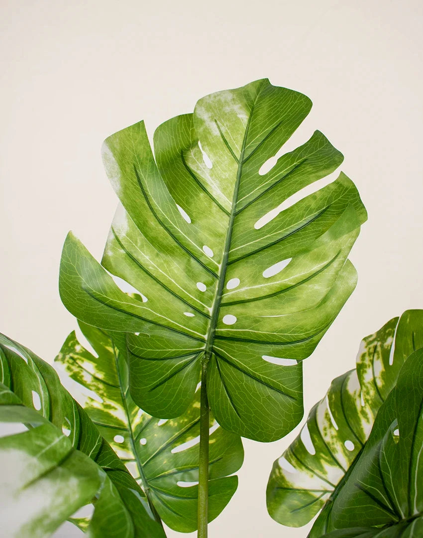 Planta Monsteria - Costilla de Adán artificial 110cm