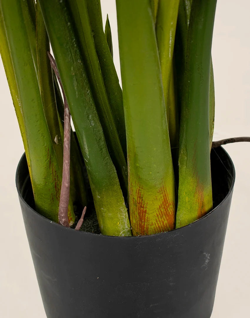 Planta Monsteria - Costilla de Adán artificial 110cm