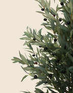 Árbol Olivo artificial 180cm