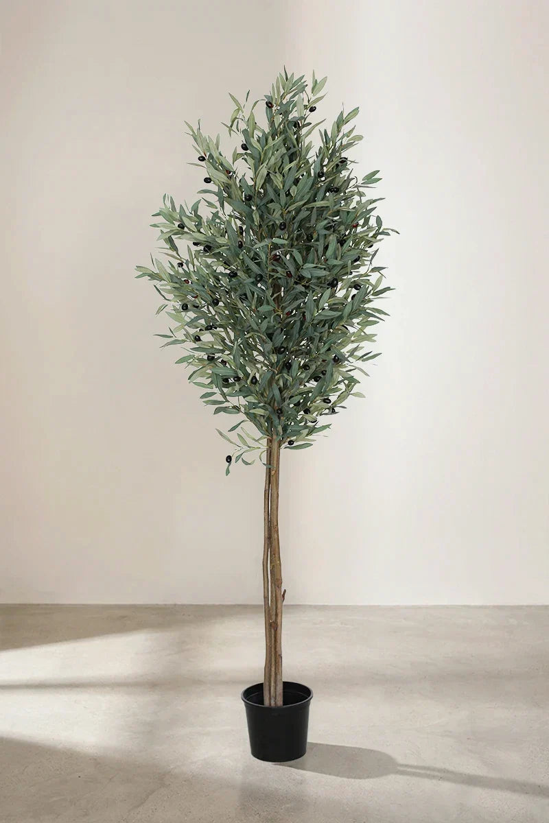 Árbol Olivo artificial 180cm