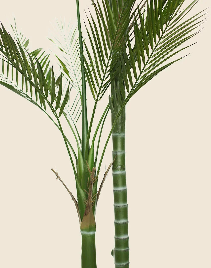 Planta areca artificial 180cm