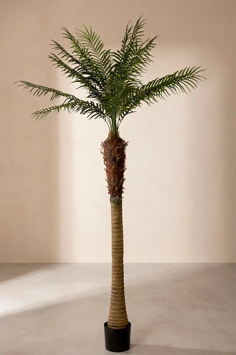 Planta phoenix artificial