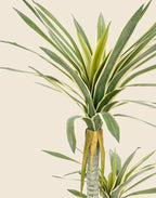 Planta pandanus artificial 130 cm