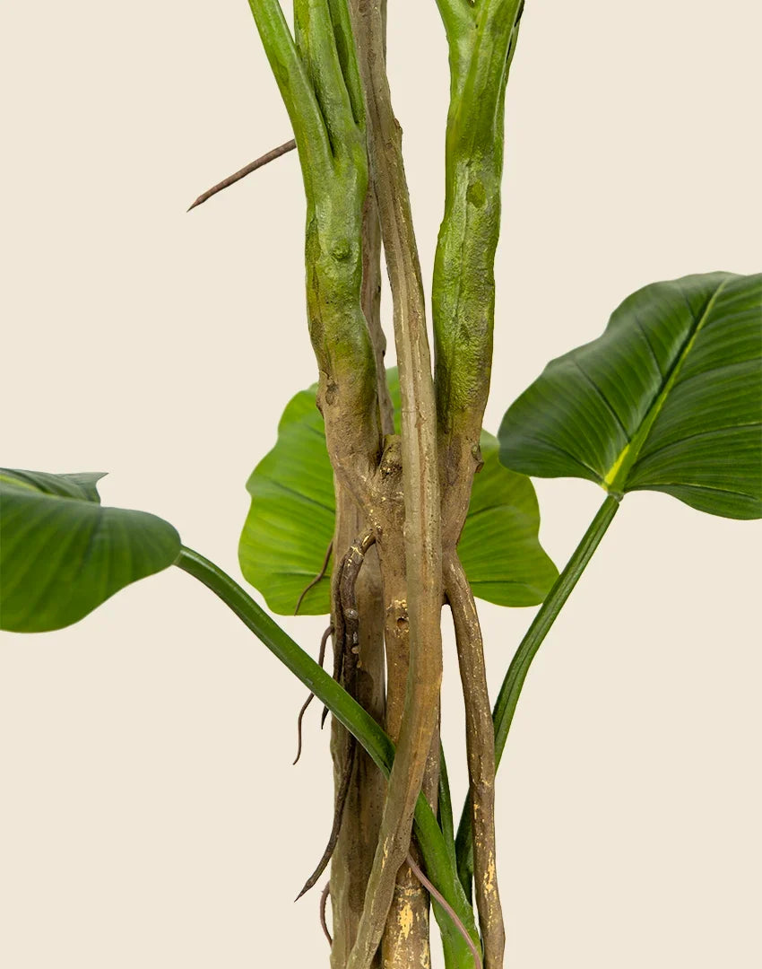 Planta Philodendron artificial 180cm