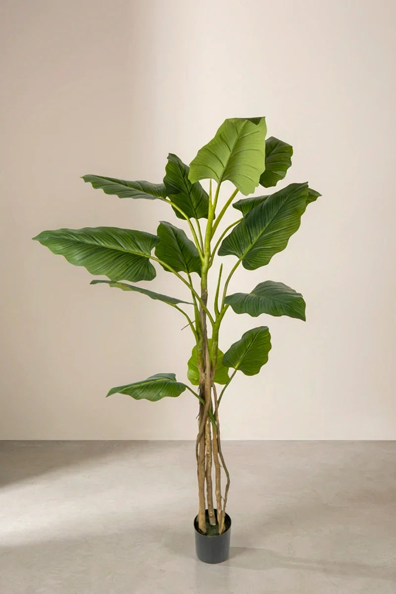 Planta Philodendron artificial 180cm