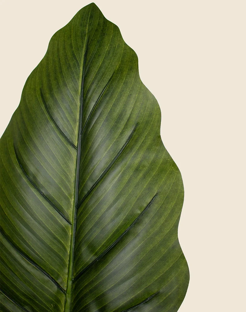 Planta Philodendron artificial 180cm