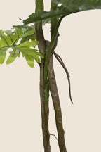 Planta Philodendron artificial 130cm