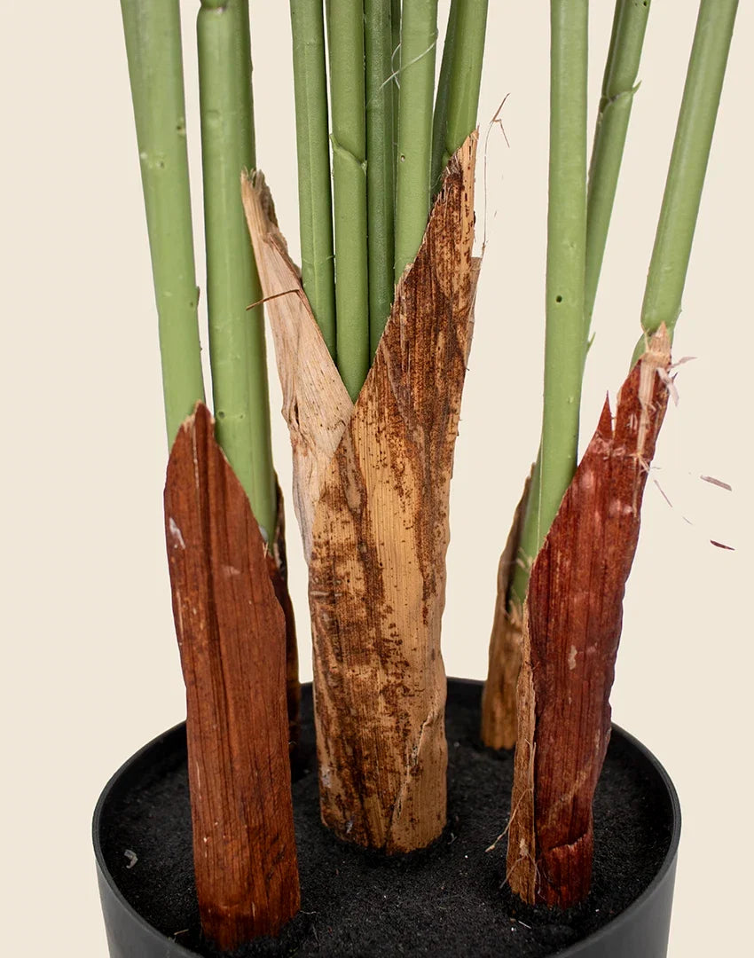 Planta Phoenix Artificial 180cm