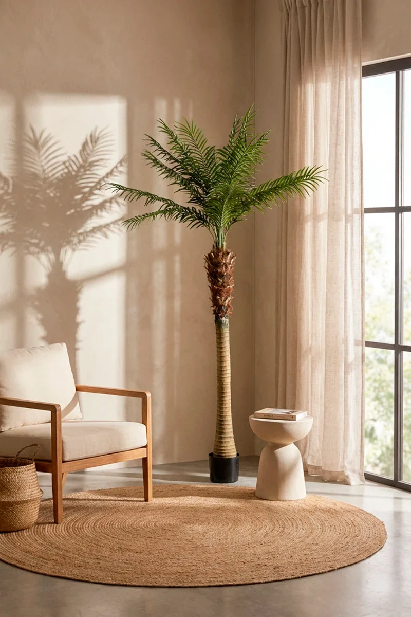 Planta phoenix artificial