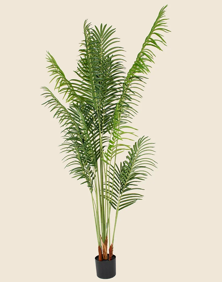 Planta Phoenix Artificial 180cm