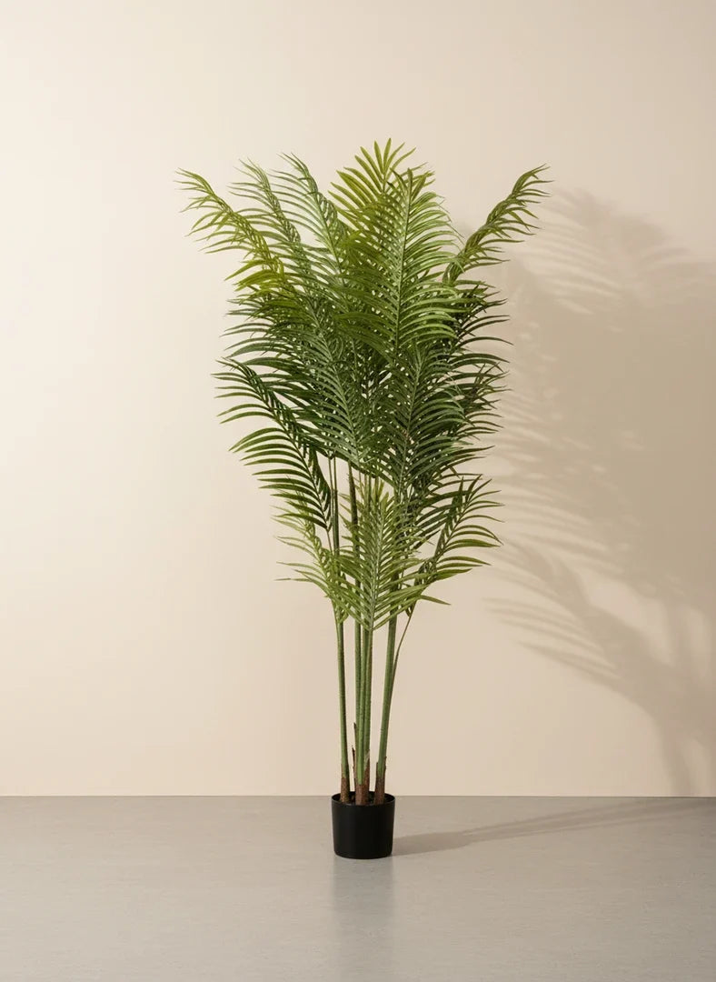 Planta Phoenix Artificial 180cm