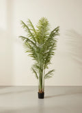 Planta phoenix artificial 200cm