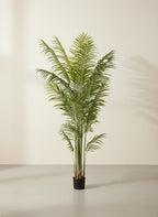 Planta phoenix artificial 200cm