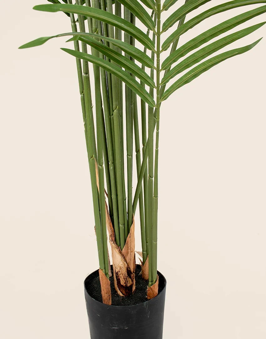 Planta phoenix artificial 200cm