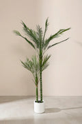 Planta areca artificial 180cm