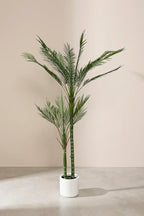 Planta areca artificial 180cm
