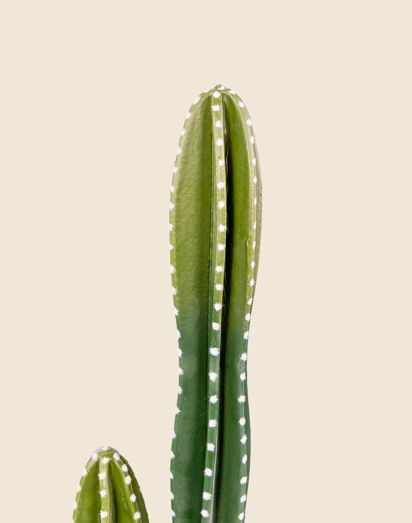 Planta Cactus Pachycereus Marginatus artificial 125 cm