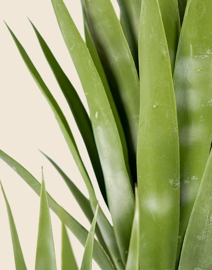 Planta yuca pie de elefante artificial 170 cm