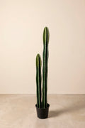 Planta Cactus Pachycereus Marginatus artificial 125 cm