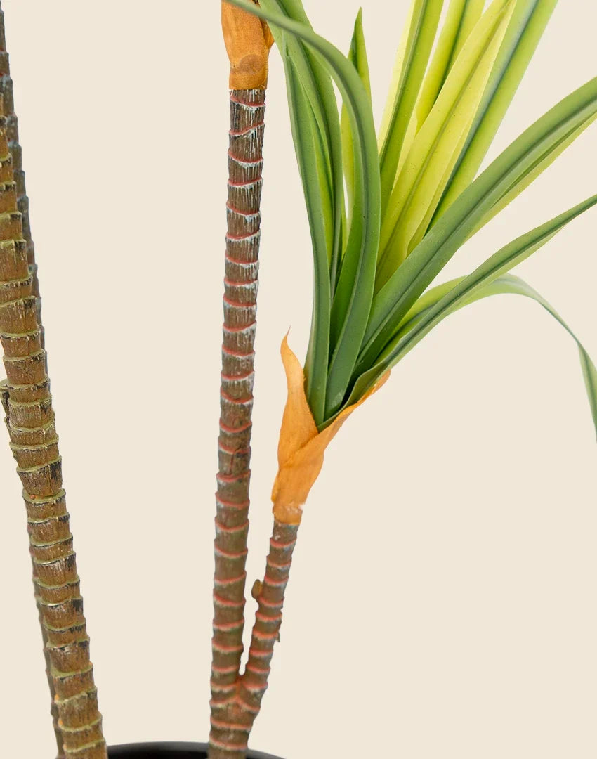 Planta drácena draco artificial 130 cm