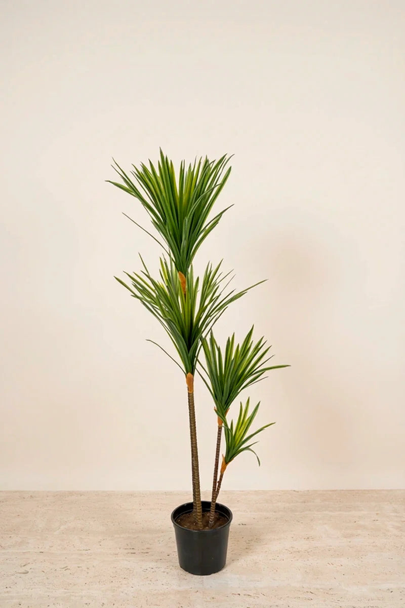 Planta drácena draco artificial 130 cm