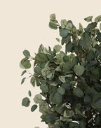 Árbol de eucalipto artificial 180 cm