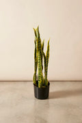 Planta sansevieria artificial 75 cm