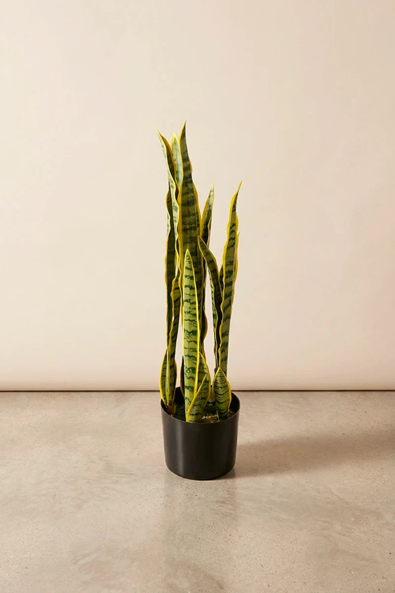 Planta sansevieria artificial 75 cm