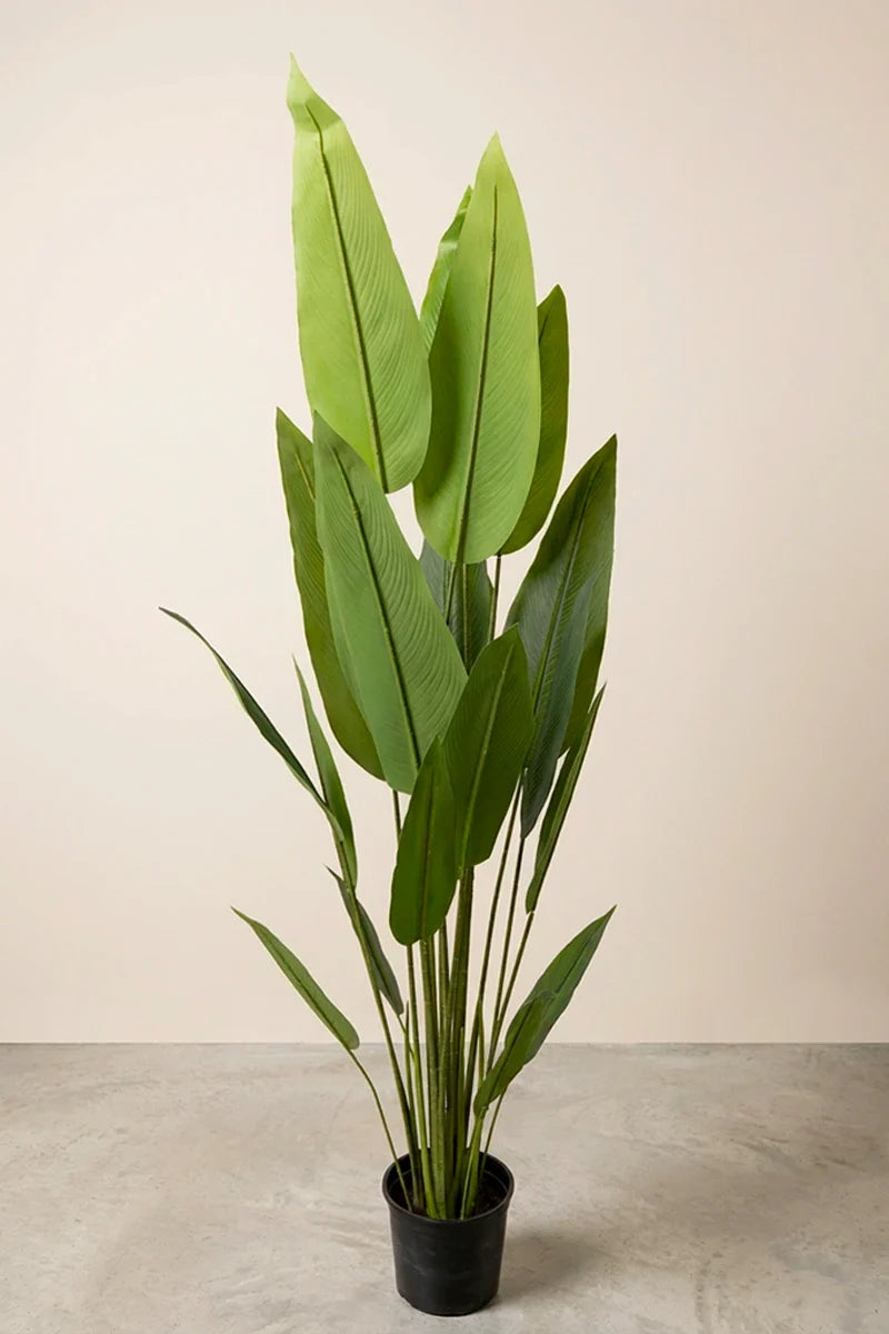 Planta Strelitzia Nicolai artificial 170 cm
