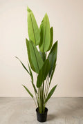 Planta Strelitzia Nicolai artificial 170 cm