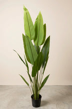 Planta Strelitzia Nicolai artificial 170 cm