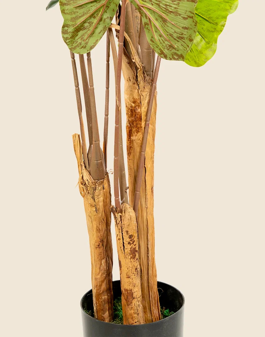 Planta Alocasia Artificial 150cm
