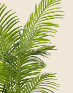 Planta palmera artificial 180 cm