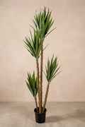 Planta yuca pie de elefante artificial 170 cm