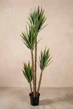 Planta yuca pie de elefante artificial 170 cm