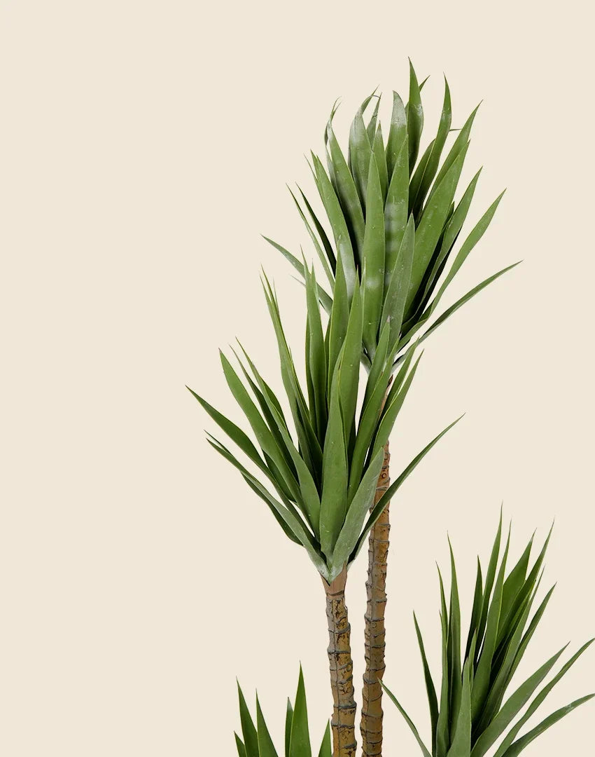 Planta yuca pie de elefante artificial 170 cm