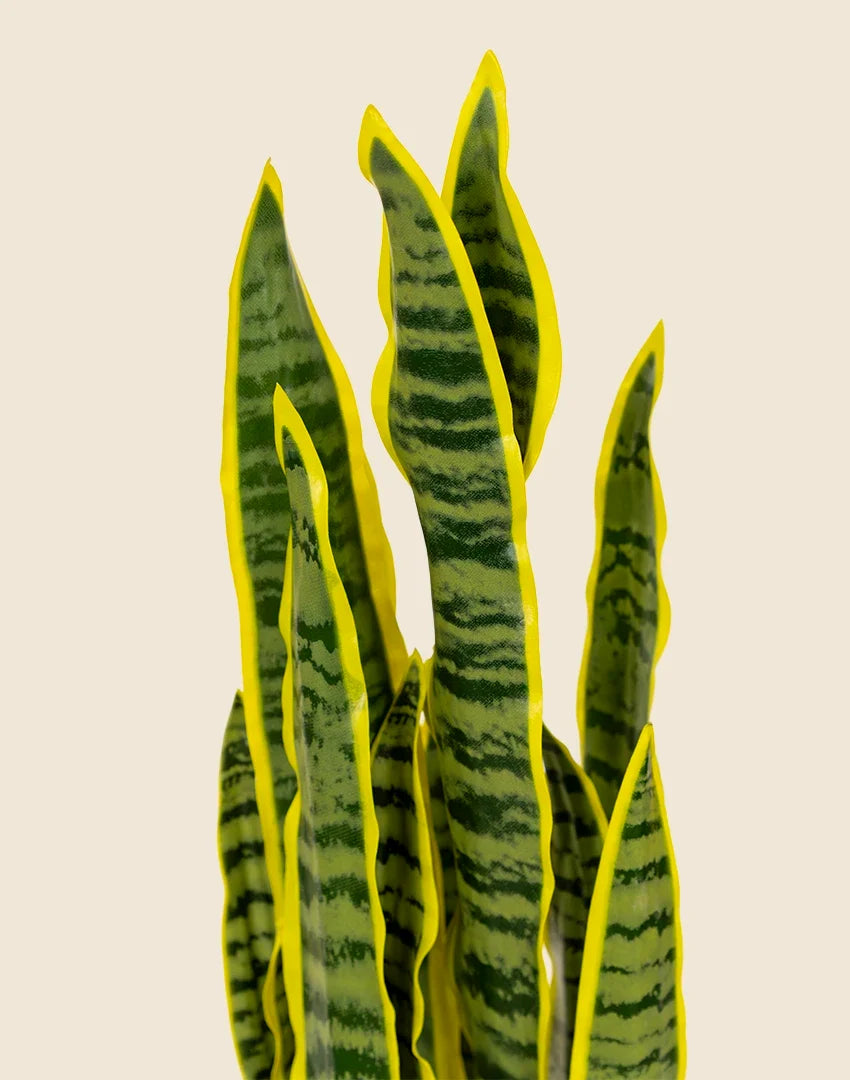 Planta sansevieria artificial 75 cm