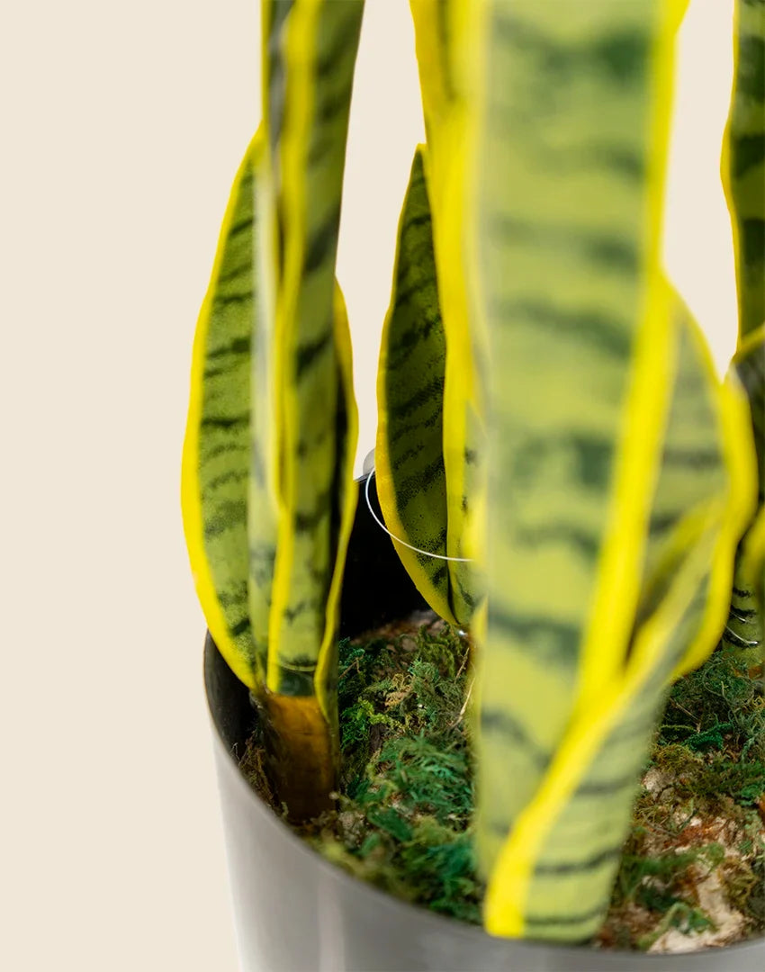 Planta sansevieria artificial 75 cm