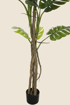 Planta Monstera artificial 180cm