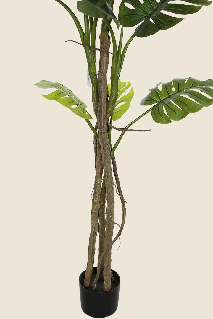 Planta Monstera artificial 180cm