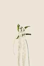 Vara Amaranth spray artificial