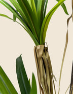 Planta Yucca artificial 120cm